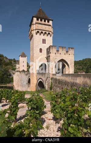 Frankreich, Lot, Cahors, das Lot-Tal und die Valentre Brücke und der Garten des Rausches, der die geheimen Gärten gehört Stockfoto