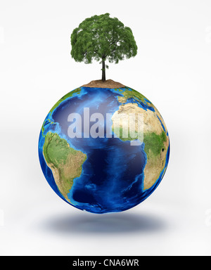 Planetenerde mit einem Baum an der Spitze. Auf weißem Hintergrund. Stockfoto