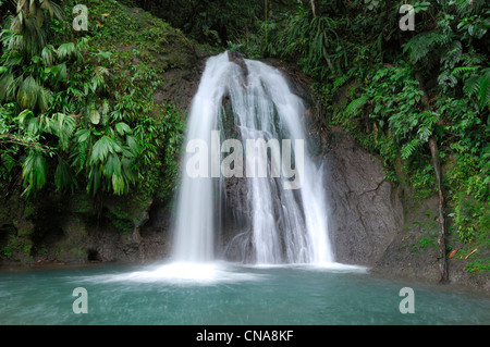 Frankreich, Guadeloupe (Französische Antillen), Basse-Terre, Route De La Traversee, Cascade Aux Ecrevisses (Krebse im Herbst) Stockfoto