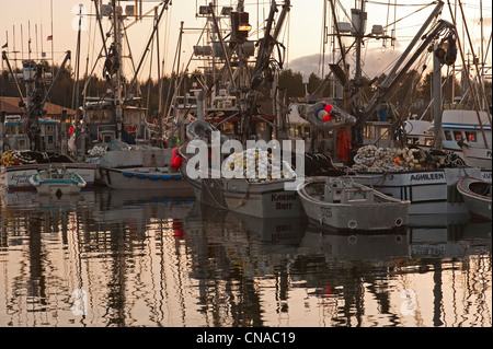 SAC Roe Hering Fischereiflotte im Hafen von Thomsen in Sitka, Alaska, USA angedockt. Stockfoto