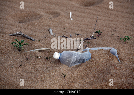 Treibgut an einem Strand in Sizilien, Italien Stockfoto