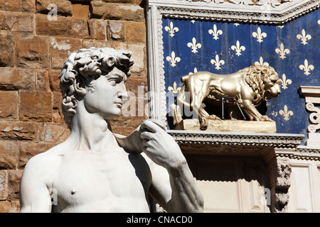Italien, Toskana, Florenz, Altstadt Weltkulturerbe von UNESCO, Piazza della Signoria, Reproduktion von David Stockfoto