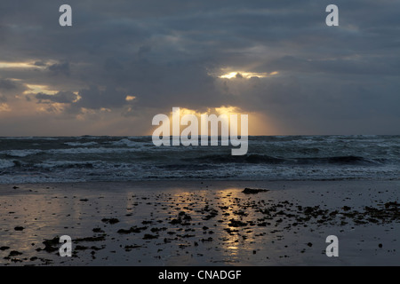 Frankreich, Charente Maritime, Ile d'Oleron, Saint-Pierre d'Oleron, Küstenlandschaft Stockfoto