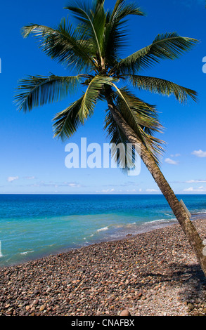 Dominica, Strand von Pointe Guignard am Ort namens Champagne Bucht zwischen Roseau und Souffriere im Südwesten der Insel Stockfoto