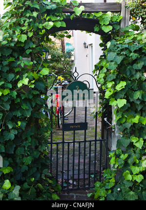 Straßenszenen, historische Häuser, Türen in Charleston, South Carolina Stockfoto