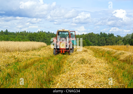 die alten Traktor bei der Arbeit am Feld Stockfoto