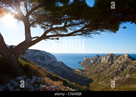 Die Calanques, Col de Sormiou (181m), Marseille, Bouches-du-Rhône, Frankreich Stockfoto