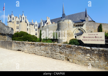 Frankreich, Maine et Loire, Montreuil-Bellay, das Schloss Stockfoto