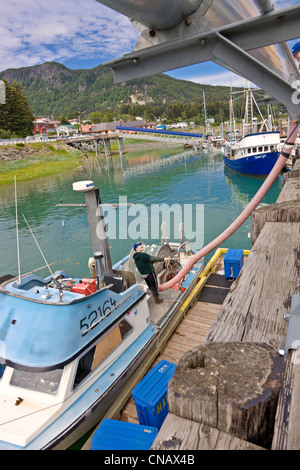 Laden von zerstoßenem Eis in sein Boot, Haines Bootshafen, Haines, Alaska Lachs Berufsfischer Stockfoto