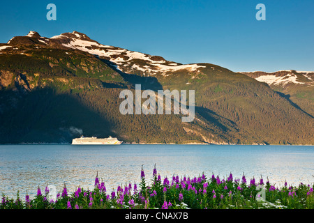 Kreuzfahrtschiff Chilkoot Inlet in Richtung Lynn Canal, Haines, Alaska Stockfoto