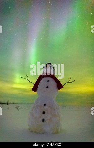 Digital verändert, Schneemann beobachten, Nordlicht, Winter, Eureka Summit, Glenn Highway, Yunan Alaska Stockfoto