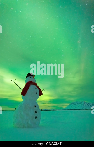 Digital verändert, Schneemann, Nordlicht, Winter, Eureka Summit, Glenn Highway, Yunan Alaska beobachten, Stockfoto