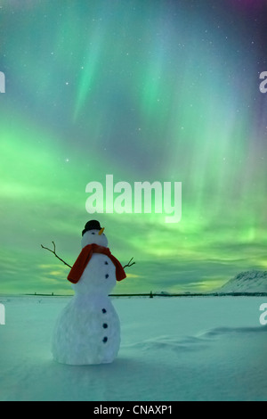 Digital verändert, Schneemann, Nordlicht, Winter, Eureka Summit, Glenn Highway, Yunan Alaska beobachten, Stockfoto