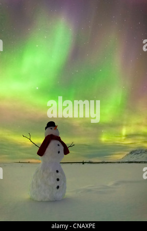 Digital verändert, Schneemann, Nordlicht, Winter, Eureka Summit, Glenn Highway, Yunan Alaska beobachten, Stockfoto