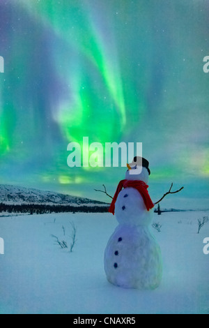 Digital verändert, Schneemann beobachten, Nordlicht, Winter, Eureka Summit, Glenn Highway, Yunan Alaska Stockfoto