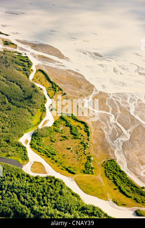 Luftaufnahme von Feuchtgebieten und Wald in der Glacialy gefüttert Chilkat River Südost Flussaue, Haines, Alaska, Sommer Stockfoto