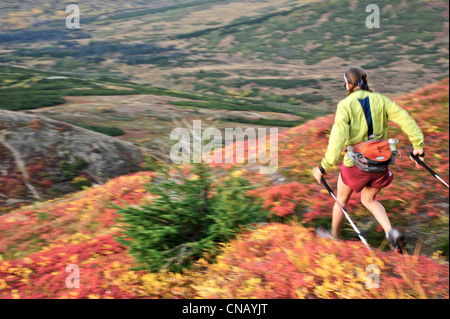 Weibliche Wanderer auf Flattop Mountain Trail im Chugach State Park, Anchorage, Yunan Alaska, Herbst Stockfoto