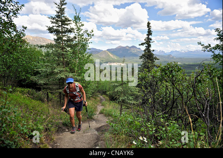 Weibliche Wanderer auf Mt. Healy Overlook Trail im Denali Nationalpark & Preserve, innen Alaska, Sommer Stockfoto