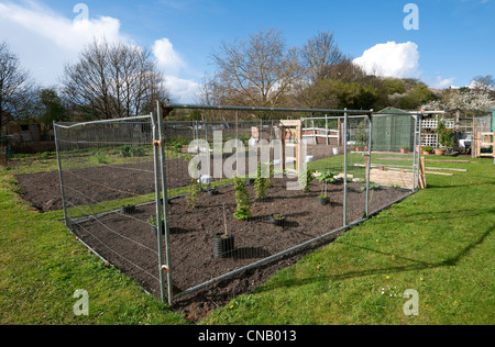 städtischen Schrebergarten, Norwich, Norfolk, england Stockfoto