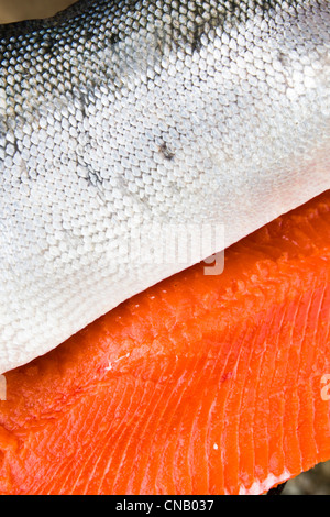 Nahaufnahme von frisch gefangen und gereinigte Sockeye Lachs vom Fluss Mulchatna, Bristol Bay Area im Südwesten Alaskas, Sommer Stockfoto