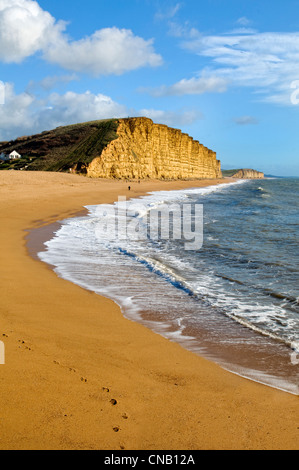 Klippen, Strand und die Küste von West Bay auf der Jurassic Küste Dorset am schönen Tag im winter Stockfoto