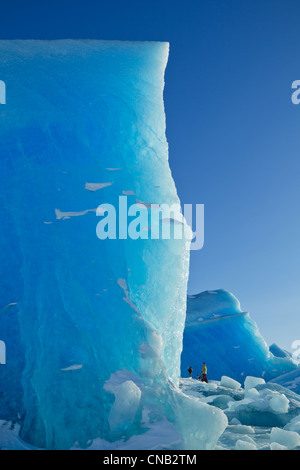 Eine Wand aus blauen Eis überragt Wanderer, wie sie einen riesigen Eisberg eingefroren in die Oberfläche des Mendenhall Lake, Alaska erkunden Stockfoto