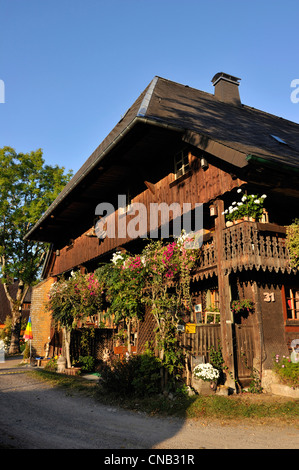 Deutschland, Schwarzwald, Schwarzwald, Baden-Württemberg, See Titisee, Hinterzarten Stockfoto