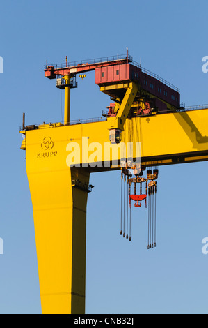 Samson, eines der berühmten Harland und Wolff Krane, Belfast Stockfoto