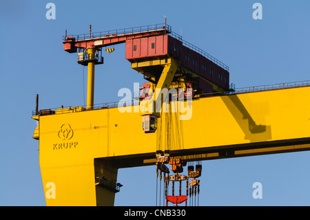 Samson, eines der berühmten Harland und Wolff Krane, Belfast Stockfoto