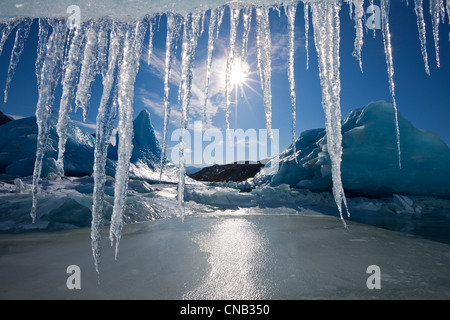 Sonne scheint durch Eiszapfen hängen von der Kante der Eisberg eingefroren in die Oberfläche des Mendenhall Lake, Alaska Stockfoto