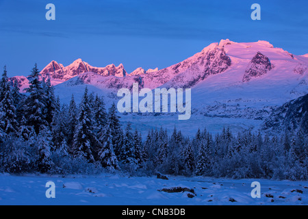 Panoramablick auf Alpenglühen auf den Coast Mountains über Mendenhall Gletscher, Tongass National Forest, südöstlichen Alaska Winter Stockfoto