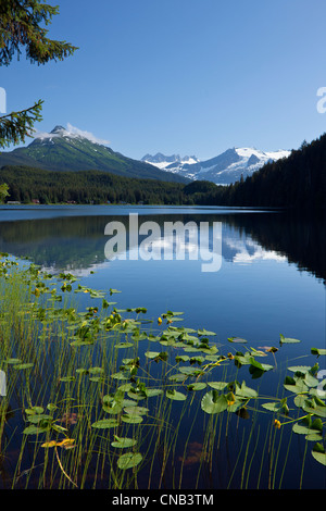 Panoramablick auf Auke See und Mendenhall-Gletscher und Coast Range Mountains, südöstlichen Alaska, Sommer Stockfoto