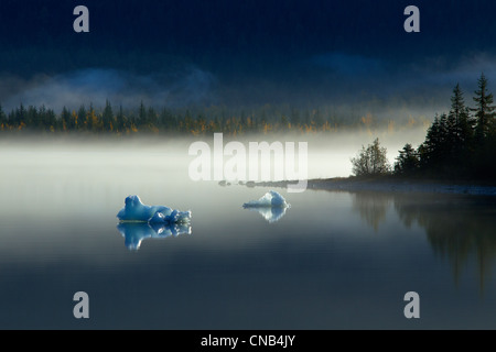 Eisberge schwimmen auf der ruhigen Oberfläche der Mendenhall Lake an einem nebligen Morgen Herbst, Südosten Mendenhall-Gletscher, Juneau, Alaska Stockfoto