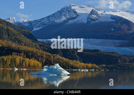 Eisberge schwimmen auf der ruhigen Oberfläche der Mendenhall Lake an einem Fall morgen, südöstlichen Mendenhall-Gletscher, Juneau, Alaska Stockfoto