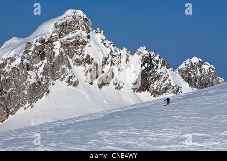 Alpin-Skifahrer auf den Juneau Eisfeld mit Rhino Peak im Hintergrund, Juneau, Alaska Southeast, Winter Stockfoto
