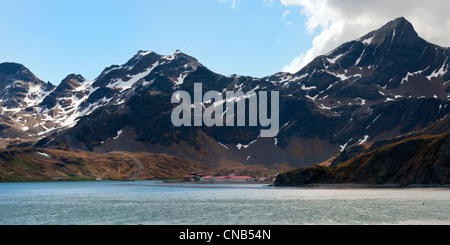 König Edward Cove, Grytviken, Cumberland Bay, Süd-Georgien Stockfoto