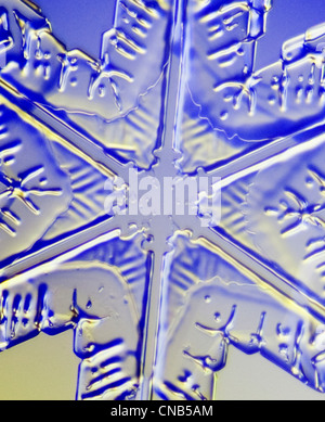 Foto-Mikroskop-Blick auf das Zentrum einer Schneeflocke mit sechs breiten Armen, die eine sternförmige Form bilden Stockfoto