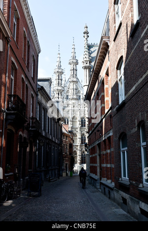 Rathaus der Stadt Leuven Stockfoto