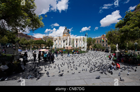 Tauben auf Plaza Murillo, hinter National Congress Building oder Palacio Legislativo, Congreso De La República, Plaza Murillo Stockfoto