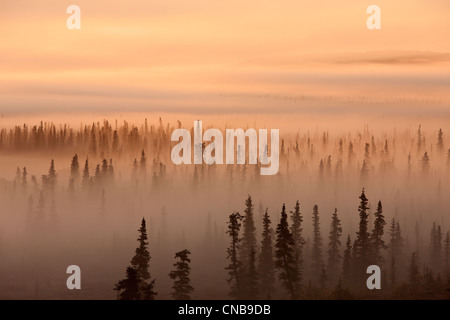 Sonnenaufgang über dem nebligen Wald, Katmai National Park and Preserve, Südwest-Alaska, Herbst Stockfoto