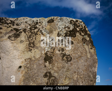 Avebury WI SW Quadrant Detail von Algen auf Stein stehend Stockfoto