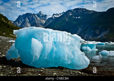 Eisberge von McBride Gletscher gestrandet am Ufer bei Ebbe, Muir Inlet, Glacier Bay Nationalpark & Preserve, Südost-Alaska Stockfoto