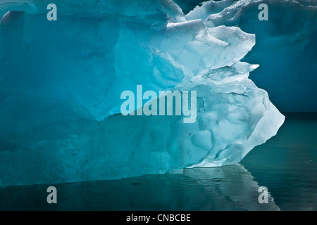 Eisberge von McBride Gletscher, Muir Inlet, Glacier Bay Nationalpark & Preserve, südöstlichen Alaska, Sommer Stockfoto