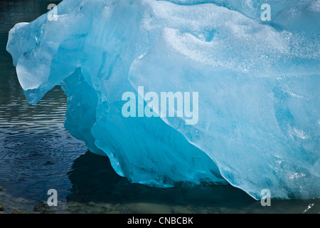 Eisberge von McBride Gletscher, Muir Inlet, Glacier Bay Nationalpark & Preserve, südöstlichen Alaska, Sommer Stockfoto