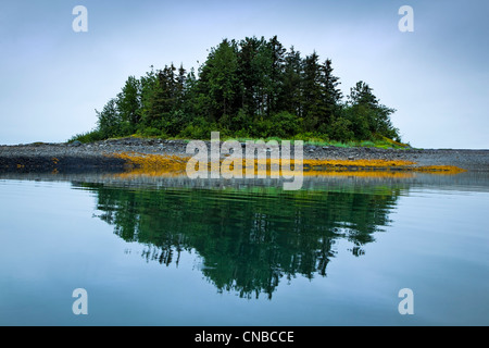 Grüne Wäldchen auf kleinen Insel reflektiert in den Gewässern der Sebree Cove, Glacier Bay Nationalpark & zu bewahren Stockfoto