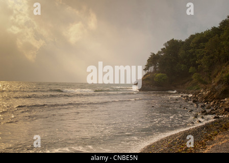 Wellen schwappen gegen einen steinigen Strand in einer unberührten Bucht wo Wald auf das Meer trifft Stockfoto