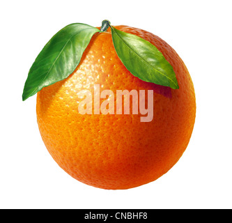 Orange frisch Frucht mit zwei Flügeln, auf weißem Hintergrund. Clipping-Pfad enthalten. Stockfoto