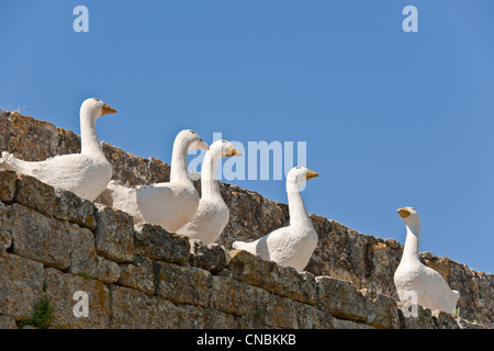 Frankreich, Gers, Larressingle, stoppen auf der Route von Compostela, Les Plus Beaux Dörfer de France (The Most Beautiful gekennzeichnet Stockfoto