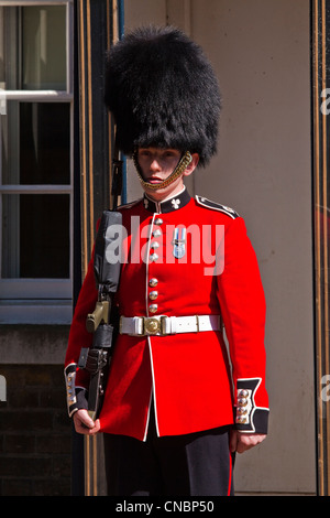 Irische Gardist im Clarence house Stockfoto