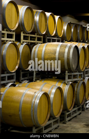 Ein Weinberg-Keller, wo Fässer Wein alt in Reihen gestapelt. Stockfoto